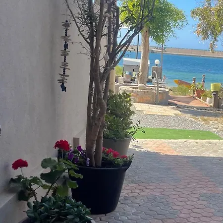 Sea View Apts & By Pachiplex